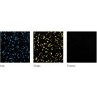 Sportpadló Plus Fekete