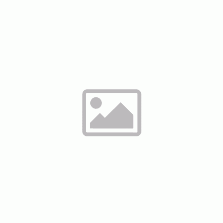MTKITBK-ESF_1